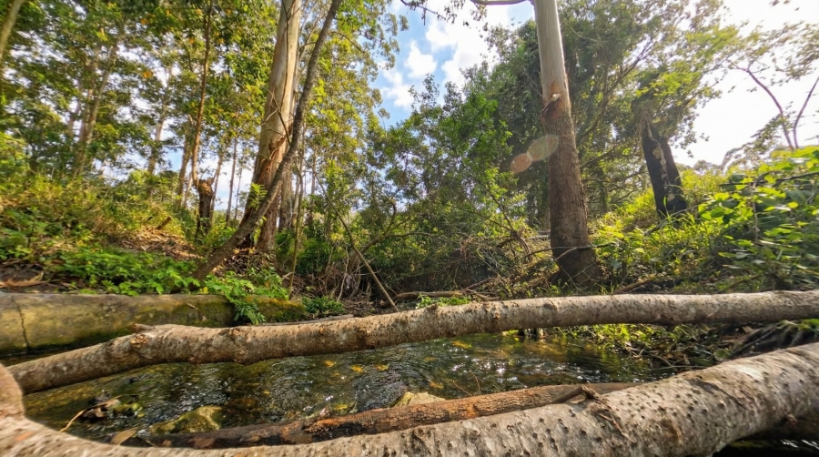 0 Bedroom Property for Sale in Kabega Park Eastern Cape